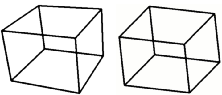 ../../_images/perspective.png